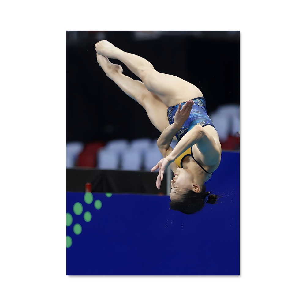 Poster World aquatics springboard